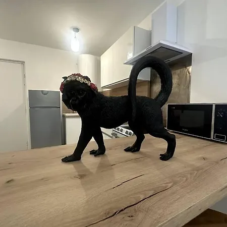 Apartment Geneva Jungle Loft Gaillard